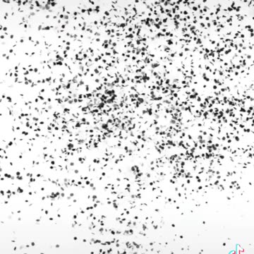 The Epic Adventures Of Mr FlannelFoot