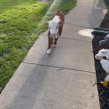 Rob on the Road: Visiting the Grave of a Puritan Ancestor