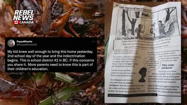 Children given pro-cricket eating assignment in a Maple Ridge, BC school