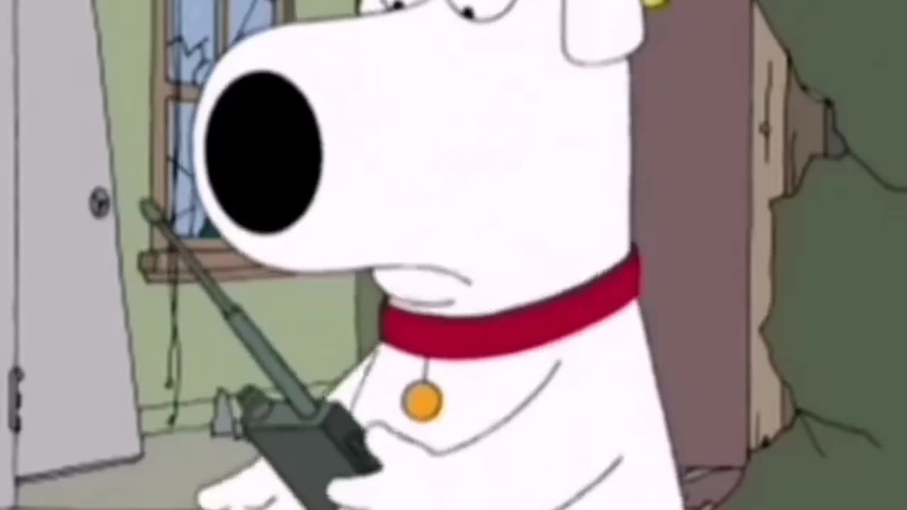 Family Guy : Brian and Stewie Over