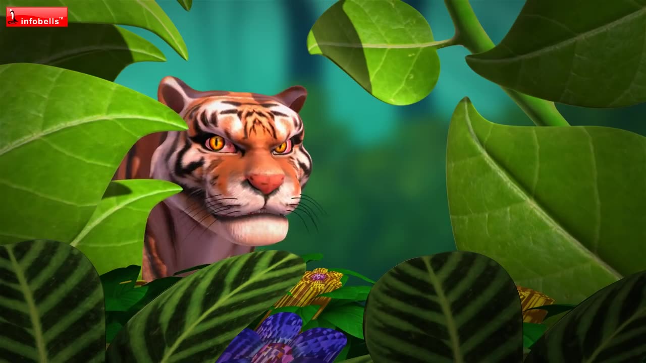 Cow attack tigers video