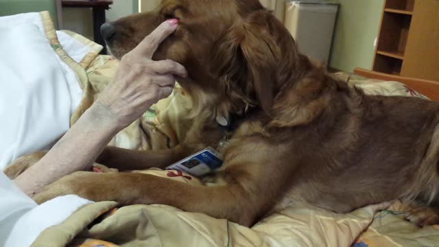 JJ the hospice dog spends time with a dying woman