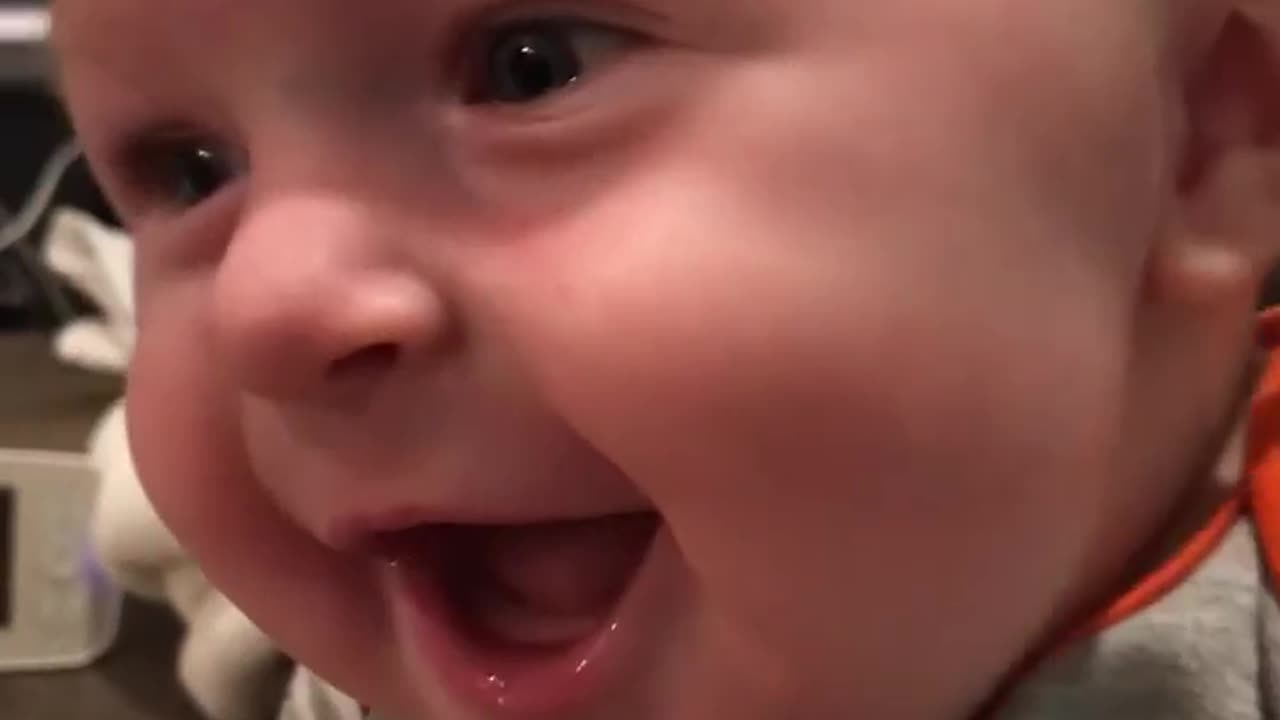 Babies Laughing Hysterically | Cute |