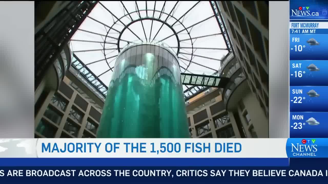 Massive aquarium with 1,500 tropical fish inside bursts at a Berlin hotel