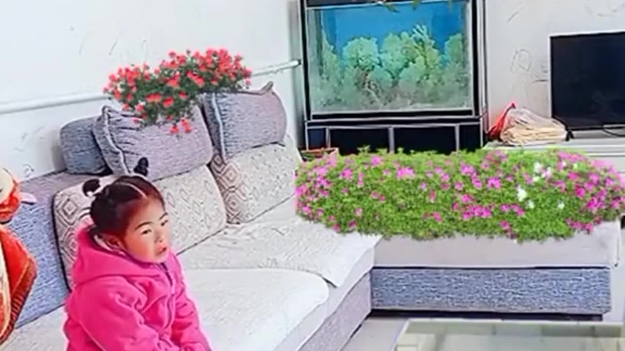 DL Panda Viral videos ON Internet