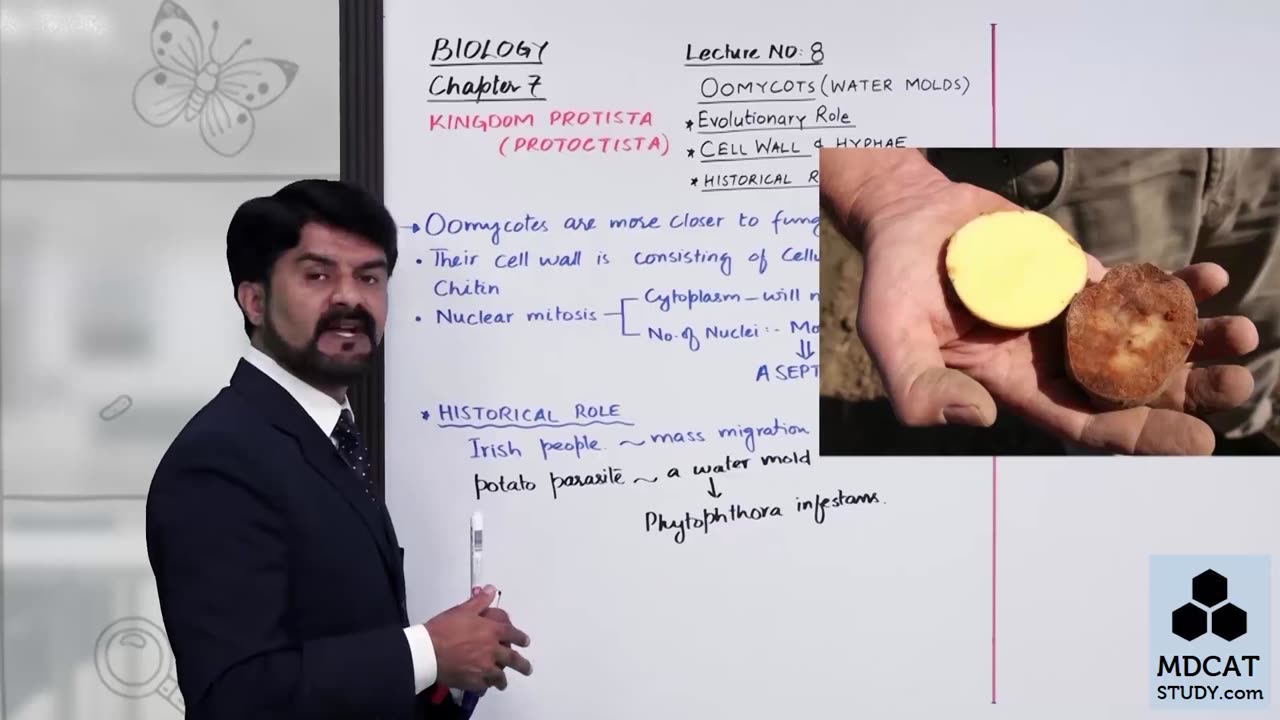 LEC#9 FUNGUS LIKE PROTISTS (WATER MOLDS OOMYCOTA)