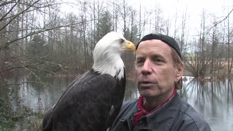 A Visit with Freedom - A rainy day in Arlington, WA