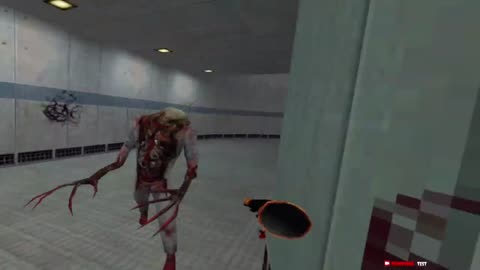 [Archived from Youtube] Half Life 1: VR Mod - Time to struggle