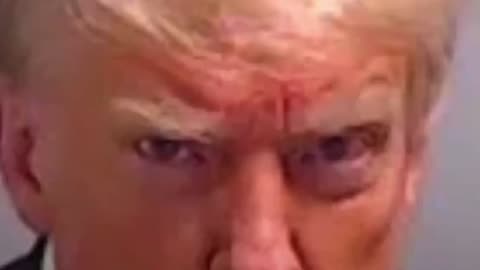 The Mugshot of Donald Trump