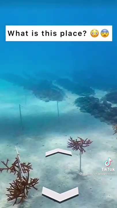 Weird things found on google map🌏