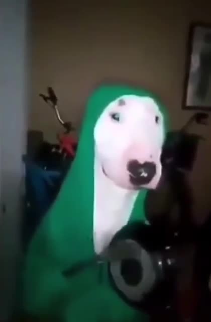 Hello I am hungry 😊🙏