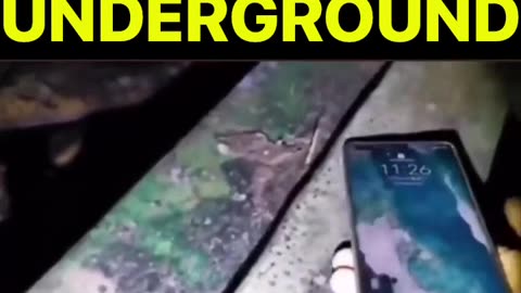 The Evil Is Coming Out! (Viewer Discretion Advised)
