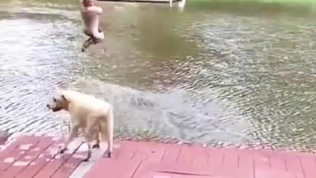 The most loyal dog in the world