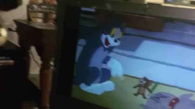 cute cat watching tom and jerry