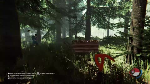 The Forest- You saw that right?