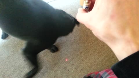 20160404_161222 magnum laser pointer