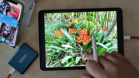 iPad Air 4 Tips & Tricks