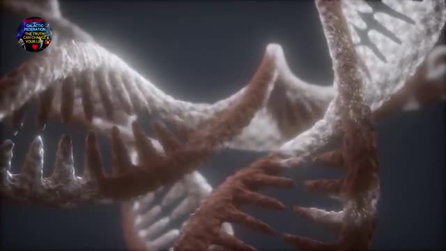 Human Cloning…it’s been happening!