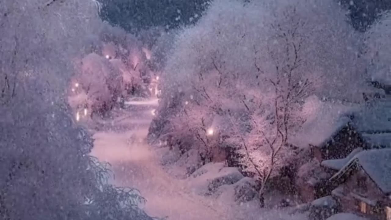 Winter Wonderland: Cozy Wooden Houses in a Snowy Forest