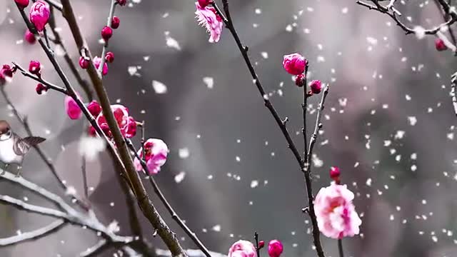 Quietly enjoying the moment when I am alone, it is so lonely.
