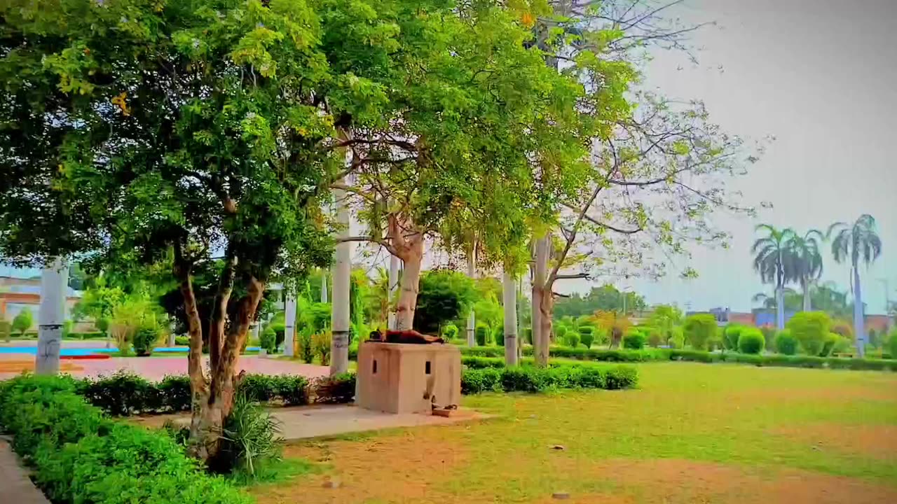 Fun with friend and we are playing cricket and I enjoy