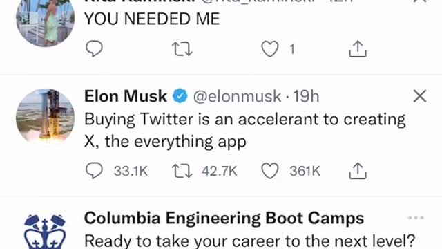 What Does Twitter Look Like Under Elon Musk?