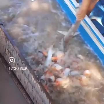 If you fall in this river, the chances of survival is -0.001