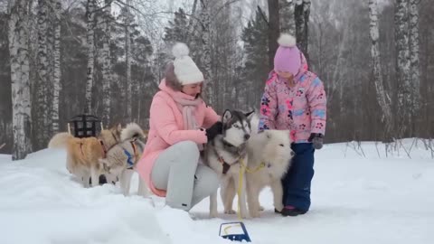 TOP 10 DANGEROUS DOGS