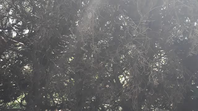 20220420-104529