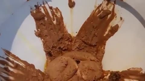 How This Restaurant Serves Chocolate Ice Cream😂🤢💩