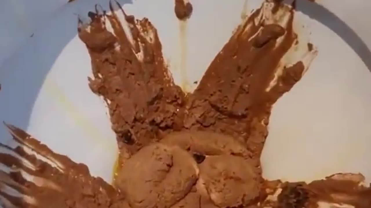 How This Restaurant Serves Chocolate Ice Cream😂🤢💩