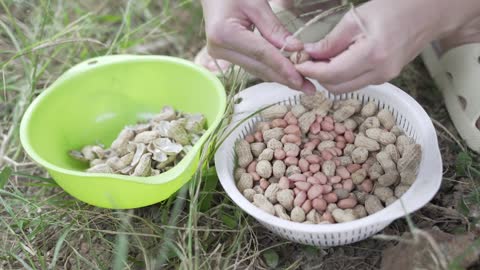 How to Clean and Store Fresh Produce Produce tips Cleaning, storing & using