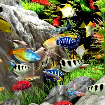 Exploring the Mysteries of the Deep Ocean: A Journey to the Unknown