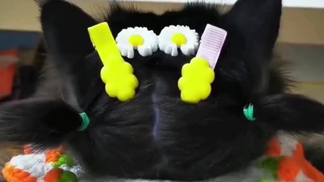 Cute 🥰