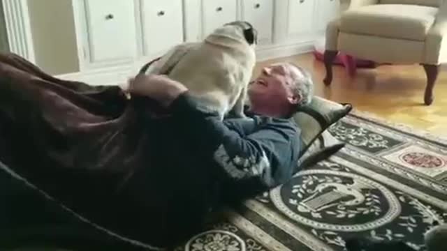 Dog Gets Cozy in Blanket With Their Owner While He Lies Down in Front of Fireplace