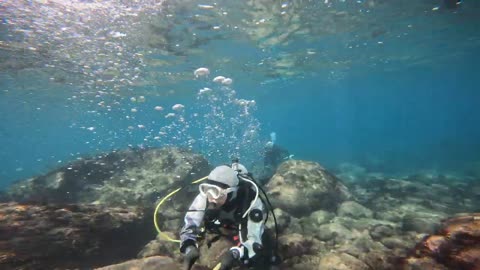 The fish are avoiding strangers under the rocks on the seabed