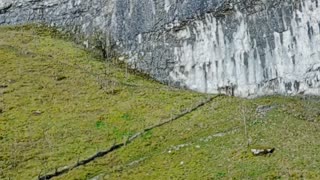 Malham Cove with Conor Tezza #yorkshire