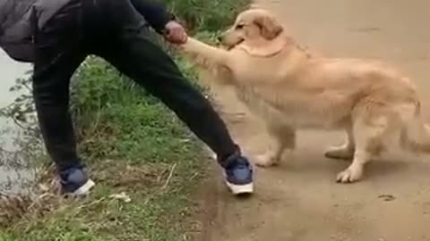 Dog helps his owner in fishing!!!