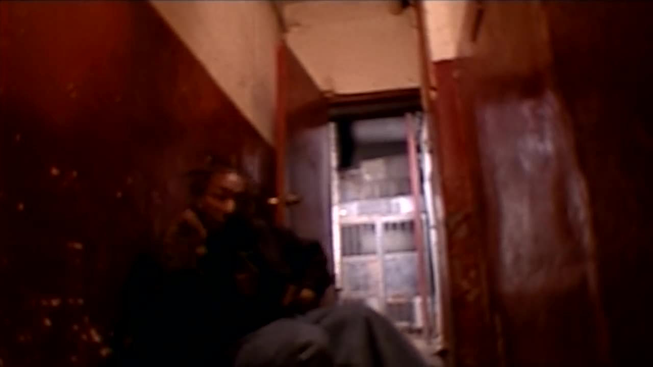 Ol' Dirty Bastard - Brooklyn Zoo (VIDEO)