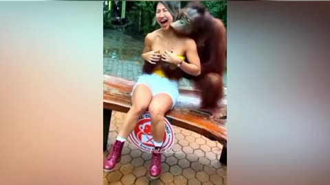 Funny animals ☺️cute video