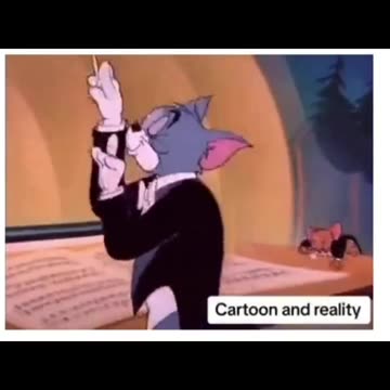 Cats in real life vs. Cats in cartoons. HYSTERICAL!!!!