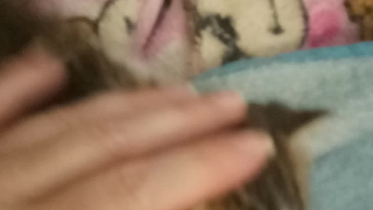 Baby Button Eyes
