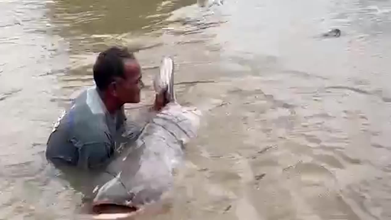 Big Fish