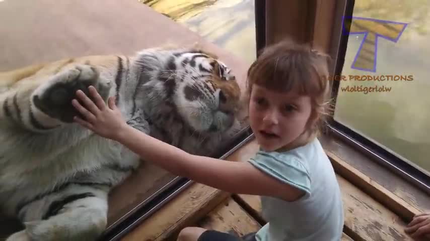 Funny things that children do in zoo | try not to laugh | kids makes you smile | RandomXFun