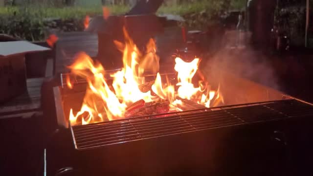 fire in the barbecue grill