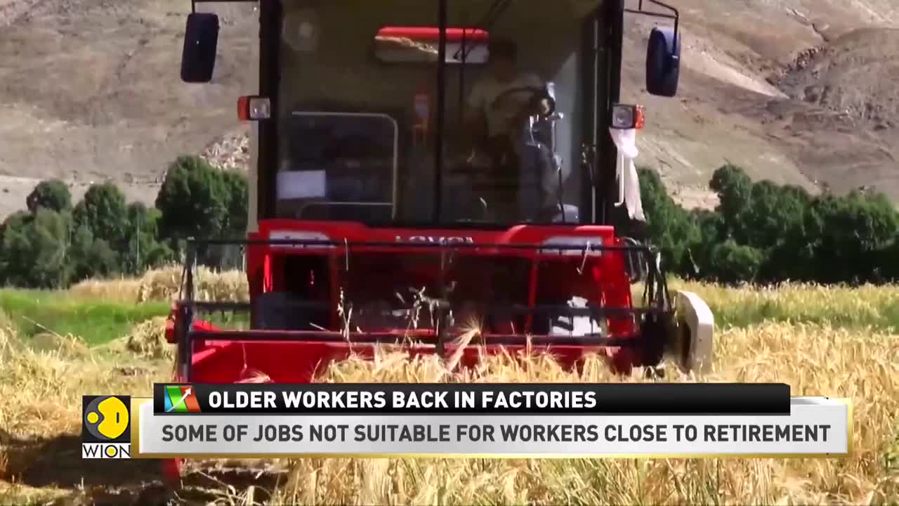 South Korea's foreign labour crunch, older workers back in factories | Business News | WION