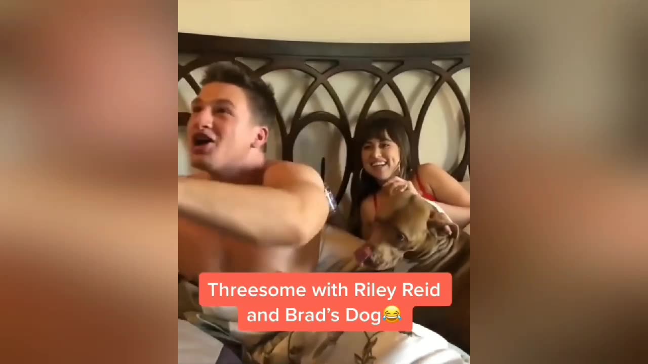 SteveWillDoIt Riley Reid Tag Teams Brad’s Dog