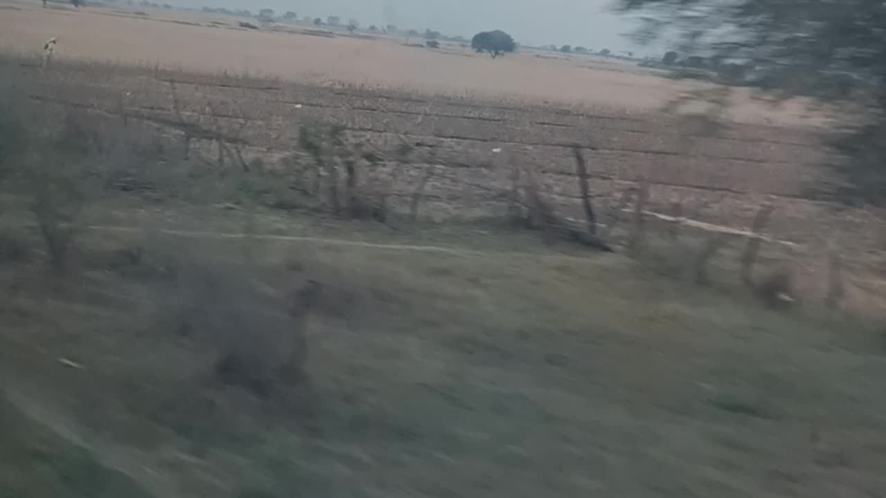 Journey to jaipur