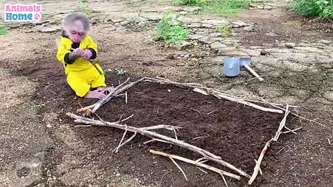 Farmer bibi obediant take care of her friends