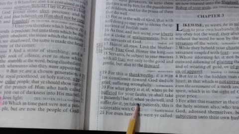 1 Pet 2:19-21 KJV